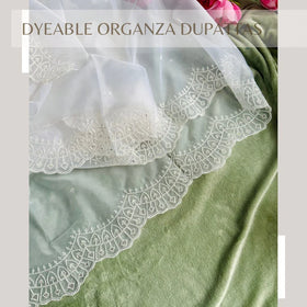 Dyeable Organza Dupattas - The Story Kameez