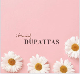 House of Dupattas - The Story Kameez