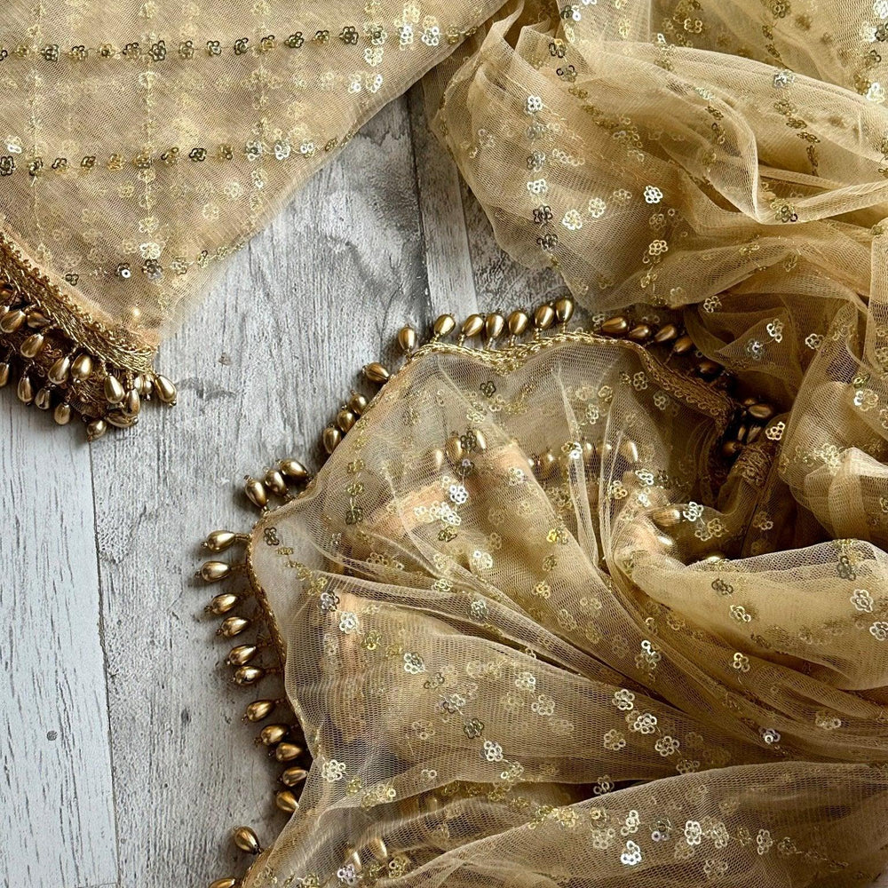 
                  
                    Golden Net Embellished Dupattas - The Story Kameez
                  
                