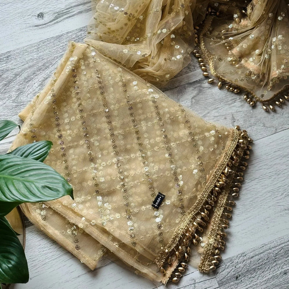 
                  
                    Golden Net Embellished Dupattas - The Story Kameez
                  
                