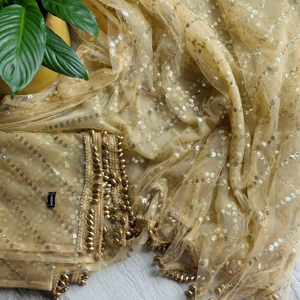 
                  
                    Net embellished sequins Silver Beads - The Story Kameez
                  
                