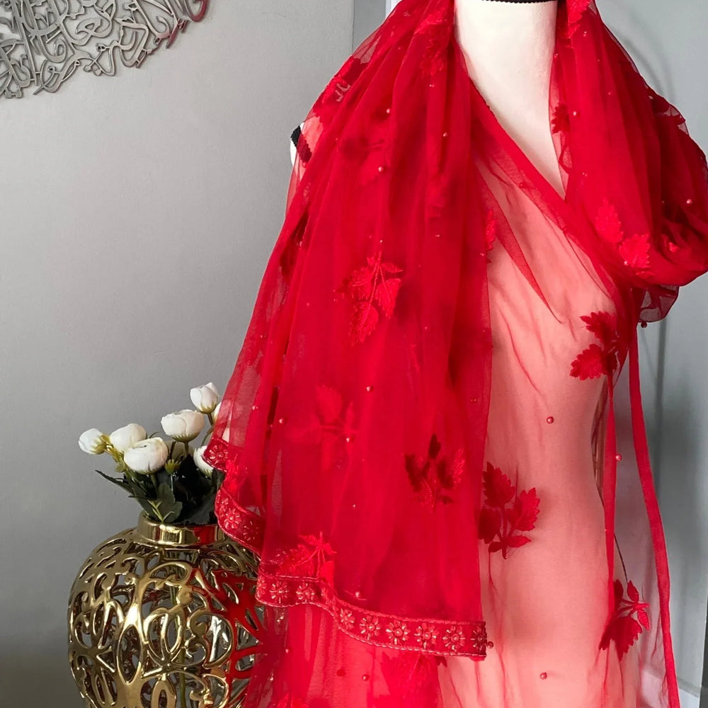 
                  
                    Partywear Net Dupattas - The Story Kameez
                  
                